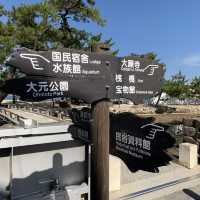 Deer-ly Loved Miyajima: A Day Trip to Remember! 