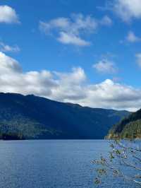 Untamed Wilderness – My Solo Journey Through Olympic National Park