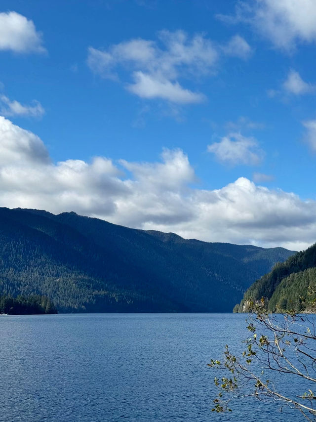 Untamed Wilderness – My Solo Journey Through Olympic National Park