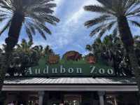 🐾 🐊✅Audubon Zoo（ニューオーリンズ）攻略ガイド – 自然と動物たちの楽園を満喫！