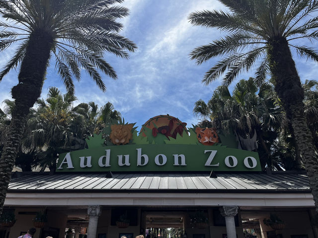 🐾 🐊✅Audubon Zoo（ニューオーリンズ）攻略ガイド – 自然と動物たちの楽園を満喫！