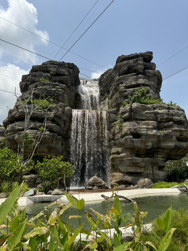Bird Paradise Singapore: A Must-Visit for Nature & Wildlife Lovers