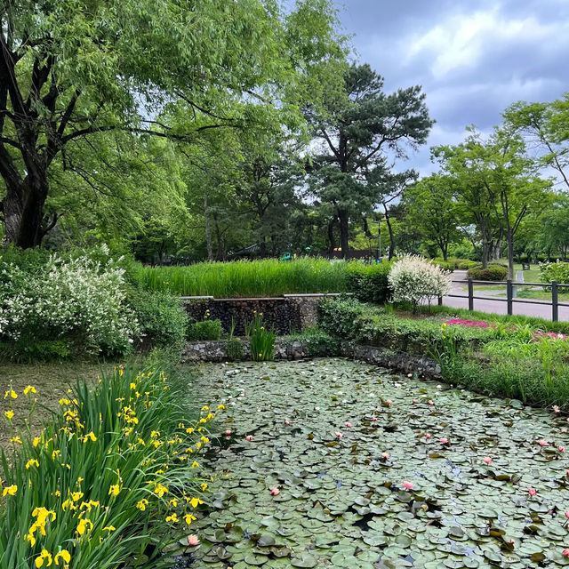 竜山家族公園