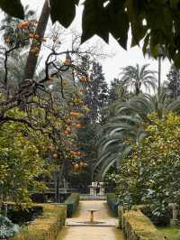 Don’t leave Real Alcazar of Seville before exploring the garden as well!