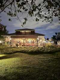 “Taman Tasik Titiwangsa at Night: A Tranquil Oasis Beneath the City Lights”