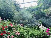 四季都可以賞花的Flower dome