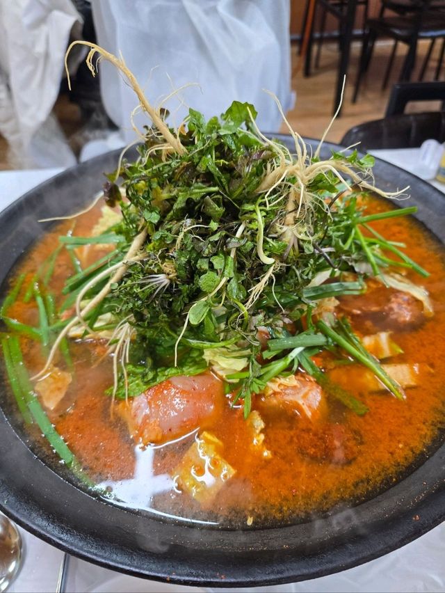 태백 올때마다 꼭 가야하는 현지인맛집🧡