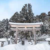 東京5日遊