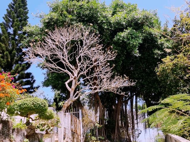 Huyen Khong Pagoda in Vung Tau city, Vietnam