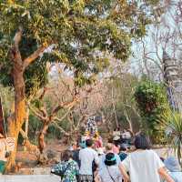 Ascending Through Time: The Legacy of Phousi Mountain