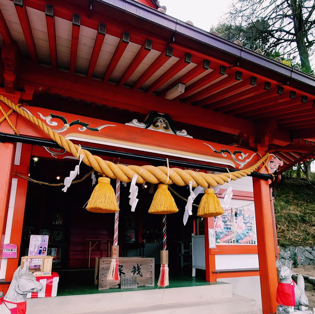 幻想的な鳥居の参道！⛩