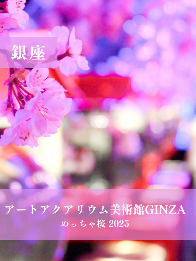 【銀座】金魚×桜🌸銀座でお花見はどう？