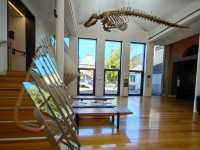 郵輪岸上遊～Tasmanian Art Gallery 