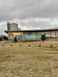 島根県立美術館