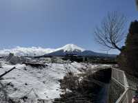 富士山 山中湖伊豆自駕遊之旅