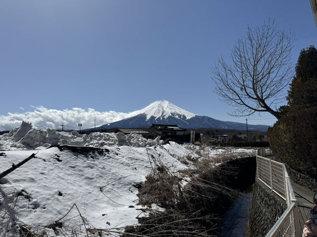 富士山 山中湖伊豆自駕遊之旅