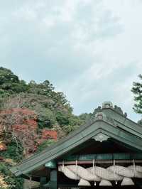 出雲大社站前：神話與現代的交匯點🚉⛩️
