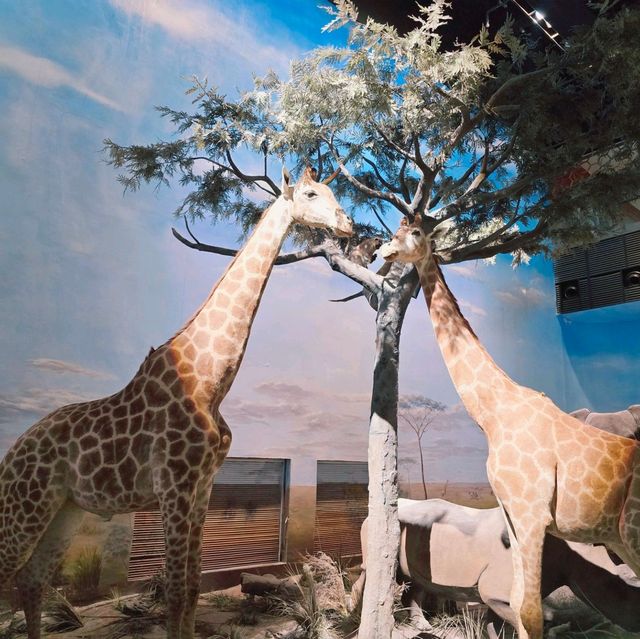 Shanghai Natural History Museum