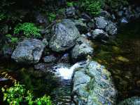 หุบเขามิโน (Minoo Park 箕面公園)