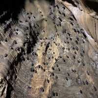Cave Expedition on Spring Day