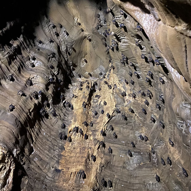 Cave Expedition on Spring Day