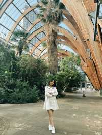 A Green Escape in the Heart of Sheffield: Winter Garden