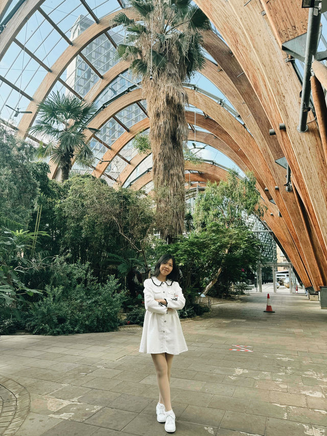A Green Escape in the Heart of Sheffield: Winter Garden