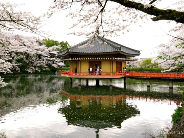 【奈良県】安倍晴明ゆかりの古刹！桜の名所でもある「安倍文殊院」