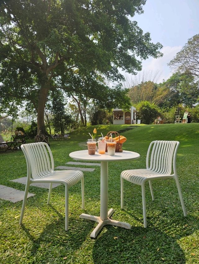 Favor Field Cafe | ราชบุรี