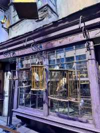 Spring at Diagon Alley – A Magical London Tour Experience