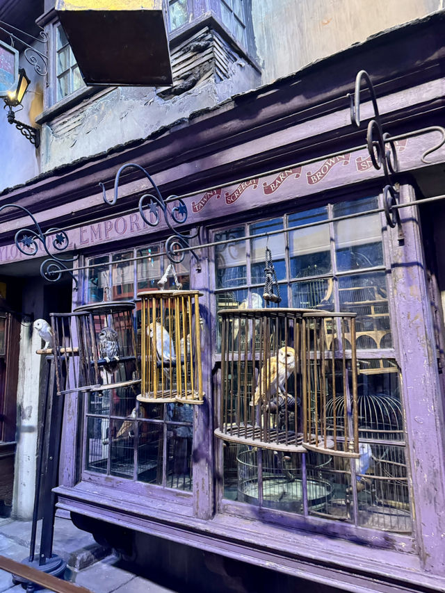 Spring at Diagon Alley – A Magical London Tour Experience