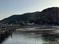 ชมใบไม้เปลี่ยนสี ริมแม่น้ำที่ Arashiyama