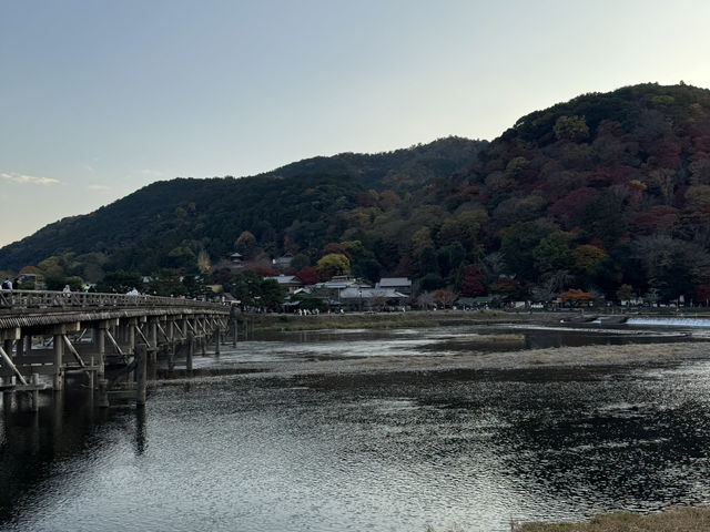 ชมใบไม้เปลี่ยนสี ริมแม่น้ำที่ Arashiyama
