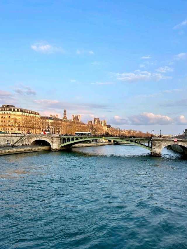 Seine Riverside: A Symphony of Movement