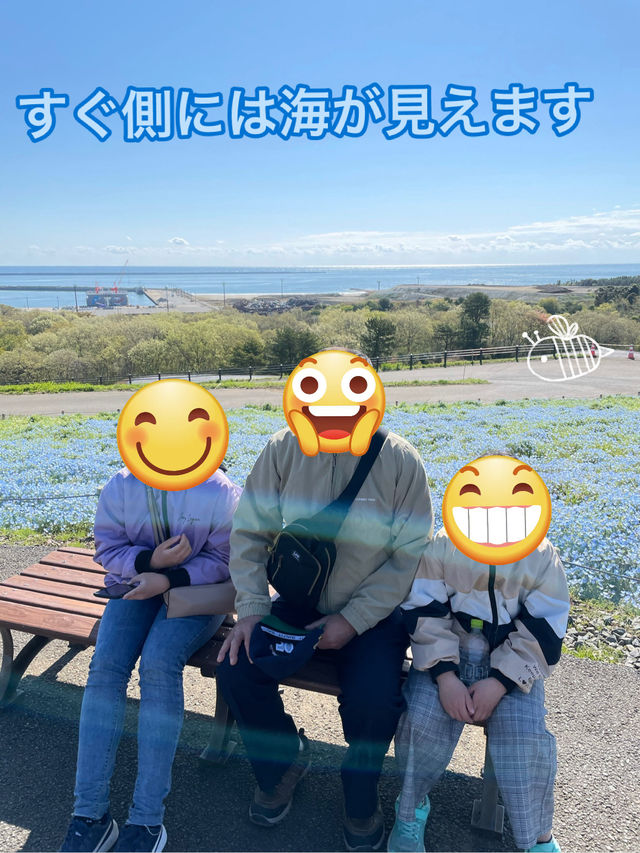 🦋ネモフィラブルー🦋‪