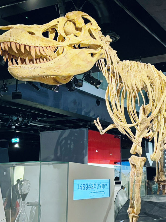【Super Short Stroll TOUR in Melbourne Day1 】