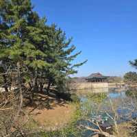 Donggung Palace and Wolji Pond, Gyeongju (#WoljiPondCherryBlossom)