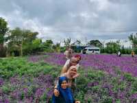 The Essence of Sumatra: Medan’s Heritage, Berastagi’s Highlands, and Lake Toba’s Majestic Serenity 