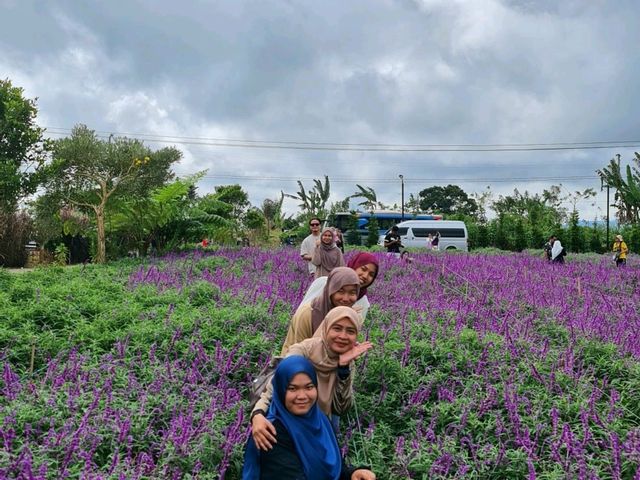 The Essence of Sumatra: Medan’s Heritage, Berastagi’s Highlands, and Lake Toba’s Majestic Serenity 