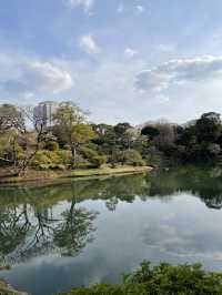 🌸東京/六義園で感じる四季の絶景🌳