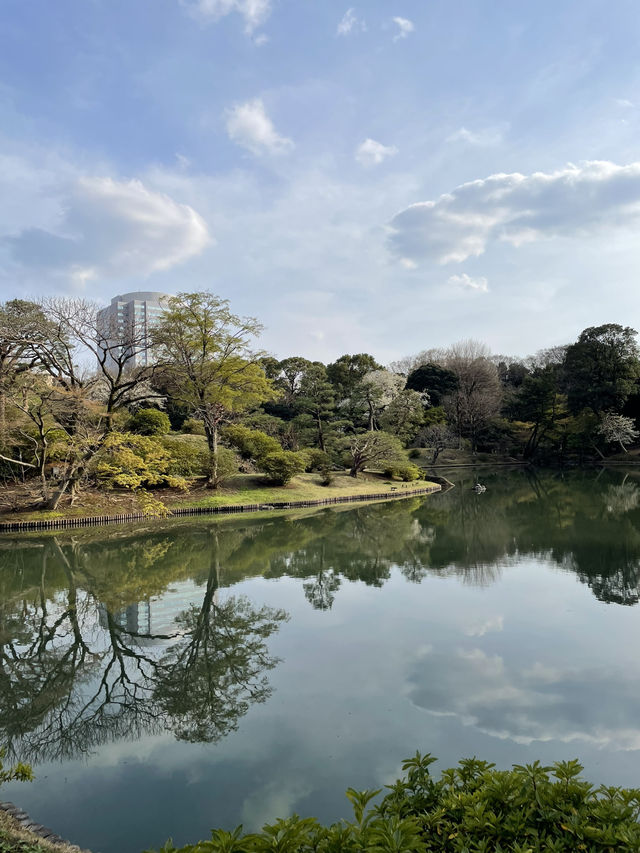 🌸東京/六義園で感じる四季の絶景🌳