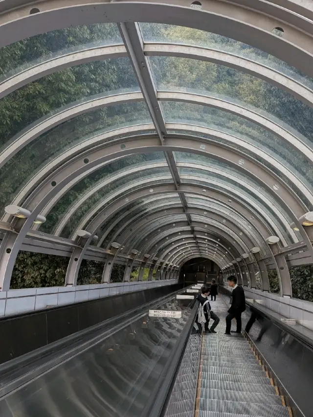 Spend a Peaceful Moment at Hijiyama Park