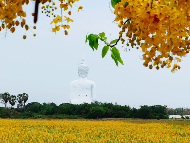 วัดม่วง อ่างทอง