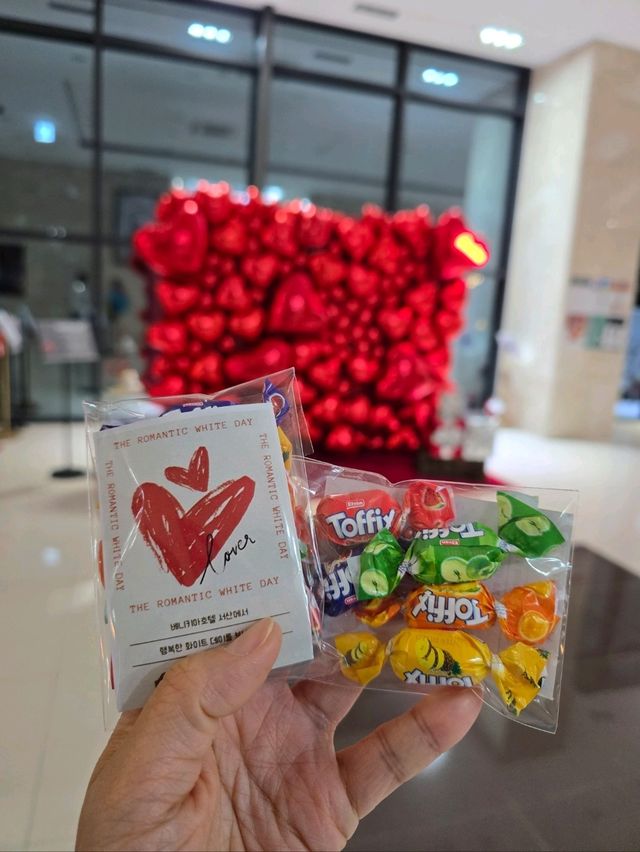 서산여행 숙소를 찾으시다면 여기🩵