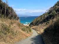 【神秘の洞窟＆絶景の海岸線🌊✨「南伊豆」で大自然を満喫しよう！】