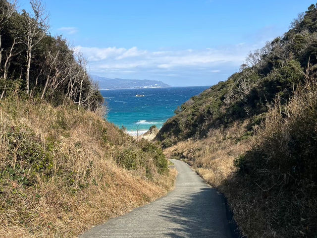 【神秘の洞窟＆絶景の海岸線🌊✨「南伊豆」で大自然を満喫しよう！】