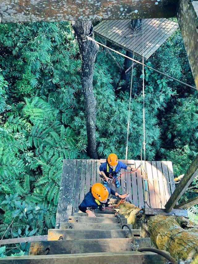 ตาดฟาน -​ Zipline