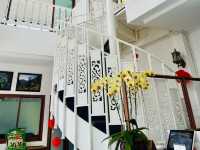 Don't miss time to tea in Chiangmai