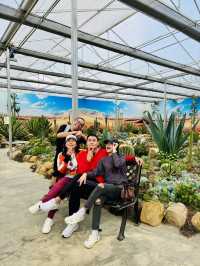 Da Lat in its best season of the year 