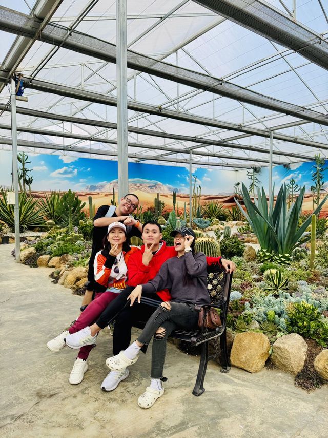 Da Lat in its best season of the year 